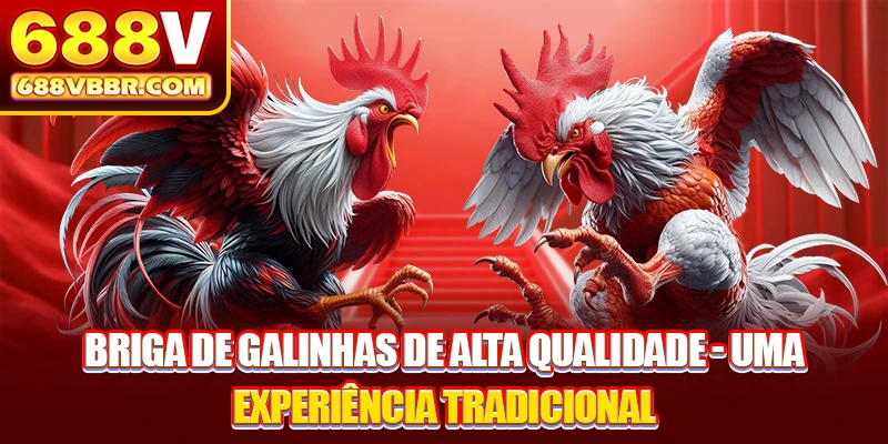 Briga de Galinhas de Alta Qualidade - Uma Experiência Tradicional