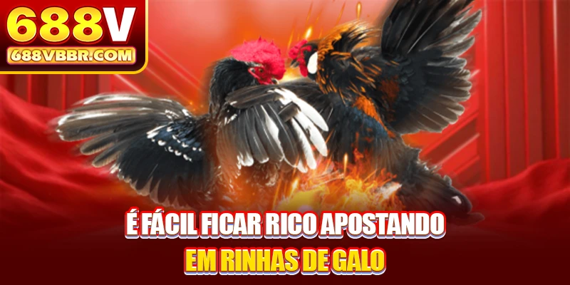 É fácil ficar rico apostando em rinhas de galo