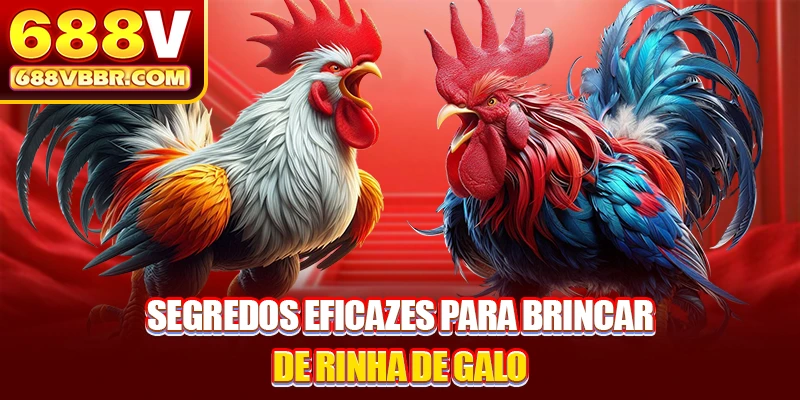 Segredos eficazes para brincar de rinha de galo
